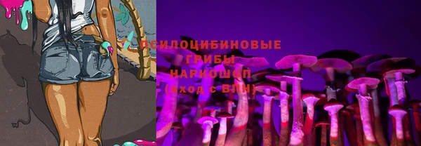 мет Ладушкин