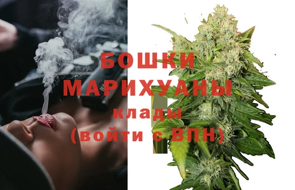 Альфа ПВП Лагань