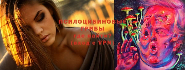 Альфа ПВП Лагань