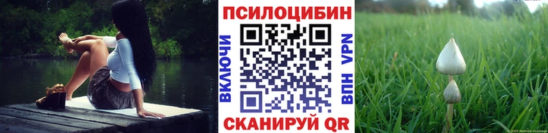 Галлюциногенные грибы прущие грибы купить сайты Новоалтайск