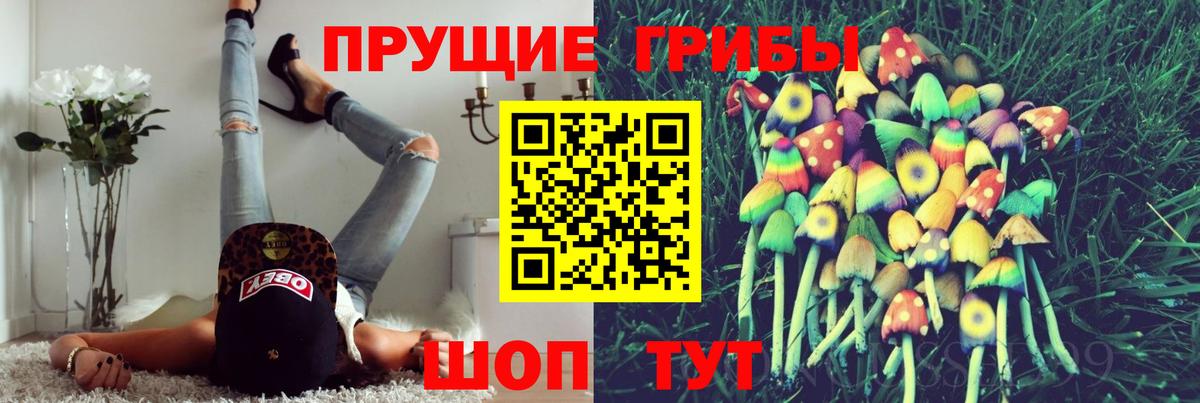 Псилоцибиновые грибы Cubensis Новоалтайск