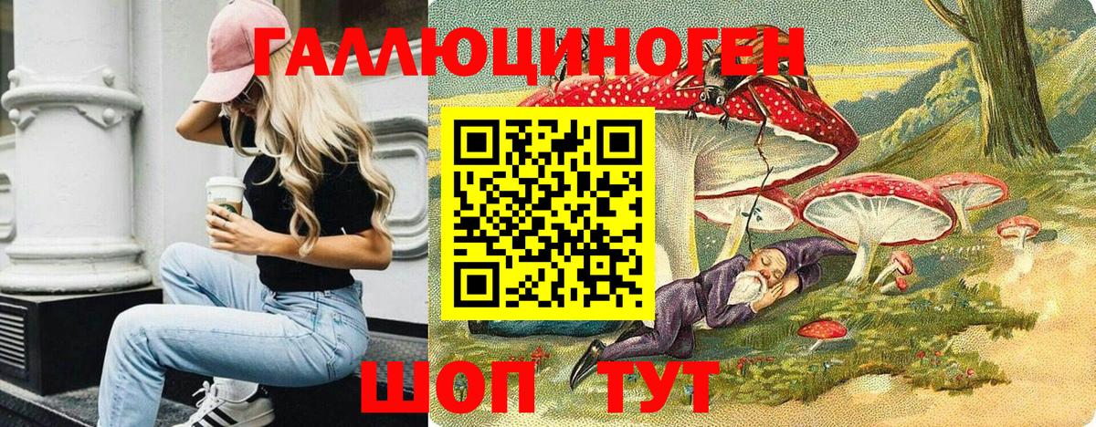 Новоалтайск  Псилоцибиновые грибы прущие грибы  Вход с VPN 