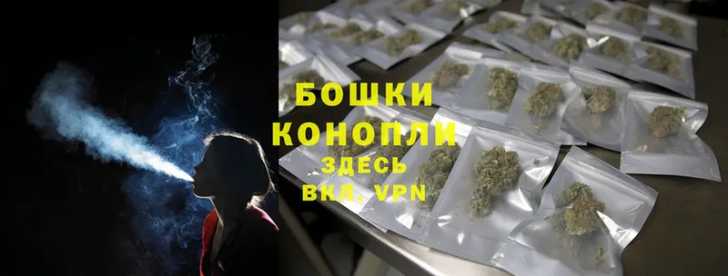 мега ссылки  Новоалтайск  МАРИХУАНА THC 21%  где купить  